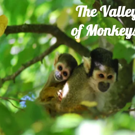 Linden Appartement *